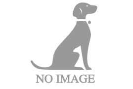 愛犬美容ペットハウスＷａｎｃｏわんこ